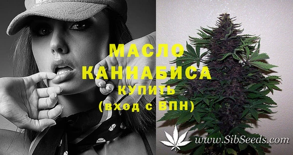 Альфа ПВП Инта