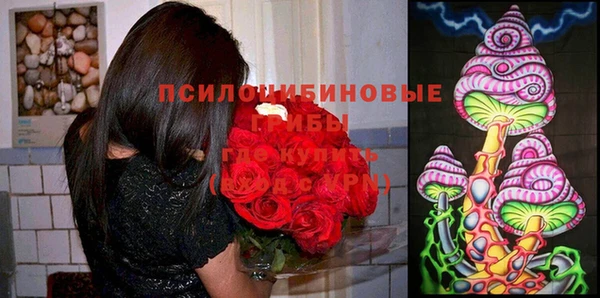 стаф Елабуга